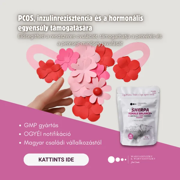 1771089002_1_sherpahirdi